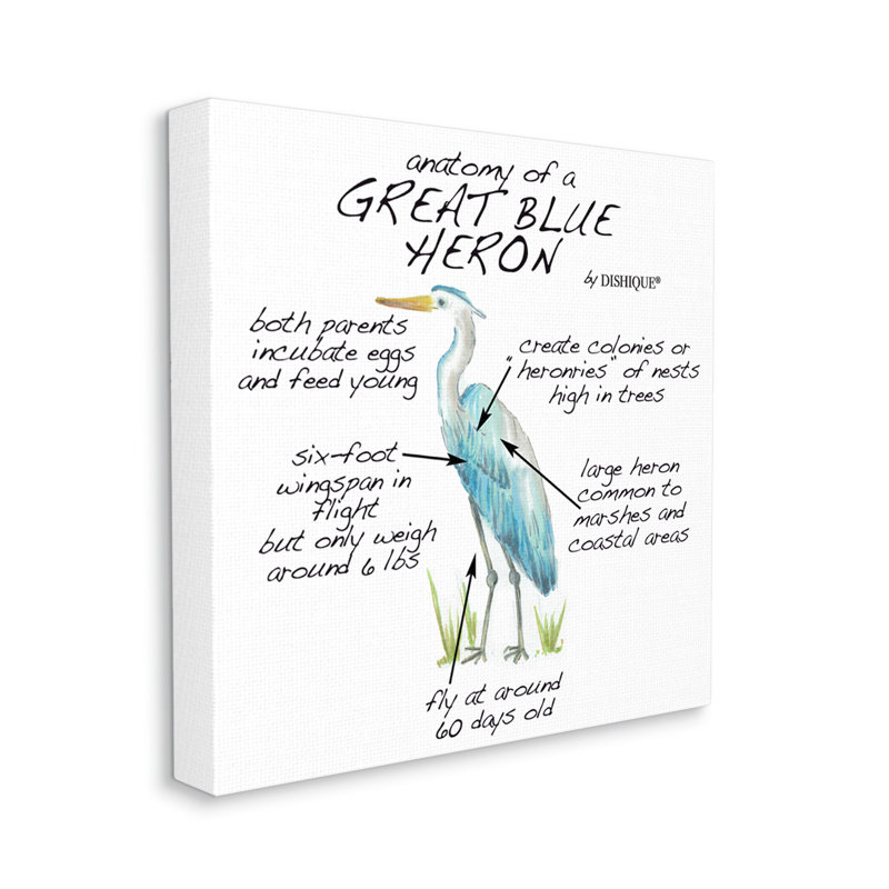 "Great Blue Heron Bird", "Wildlife Facts" par vaisselle, impression sur toile non encadrée, H 36 po x l 36 po x P 1,5 po