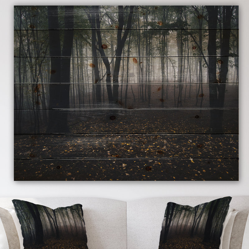 «Dark Spooky Misty Wild Forest», reproduction de photo, H 15 po x l 20 po x P 1 po, Bois