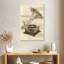 Vieux Gramophone Abarca-108595550