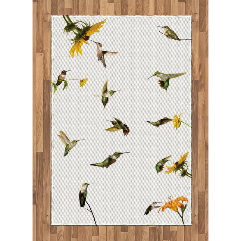 Tapis décoratif à haute densité Hummingbirds, Rectangle— 4 pi x 5 pi 8 po