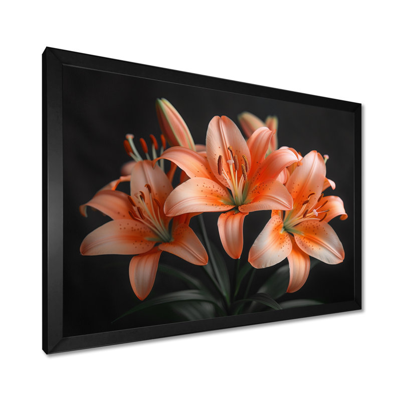 Orange, lis noir, printemps, photo III, lys, art mural, salon, Cadre simple noir, H 12 po x l 20 po