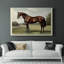 Animaux, paysage, série CCVII-618512963
