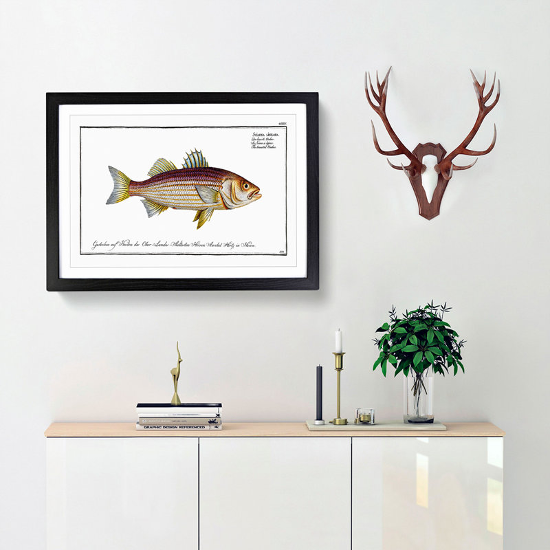 Lineated Umber Fish by M.E. Bloch - Framed Print, Black Framed, 27cm H x 36cm W x 2cm D