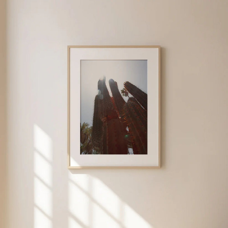 Cactus Travel Print 1, 40cm H x 30cm W