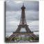 Tour Eiffel en niveaux de gris - reproduction de photo sur toile-1043978449-1054562784