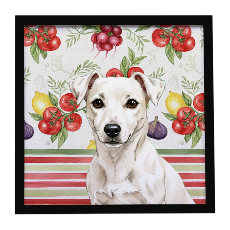 Blanc Jack Russell Terrier, impression sur métal encadrée de légumes