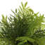 Outdoor UV-Rated Ostrich Fern in Fiberstone Pot