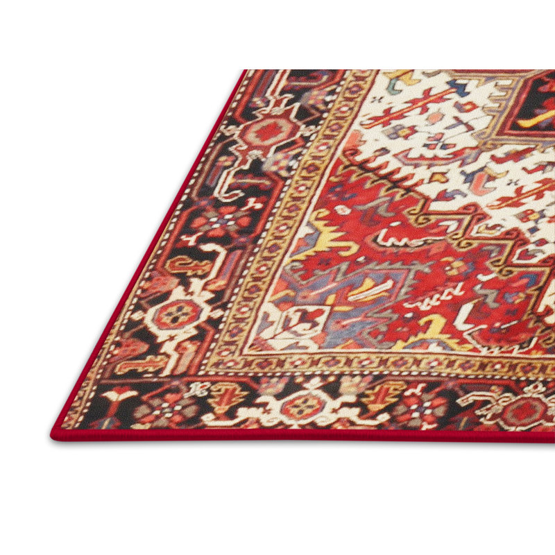 Oriental Indoor Rug, Rectangle 8' x 10'