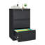 59.99 cm W Filing Cabinet-1891097401