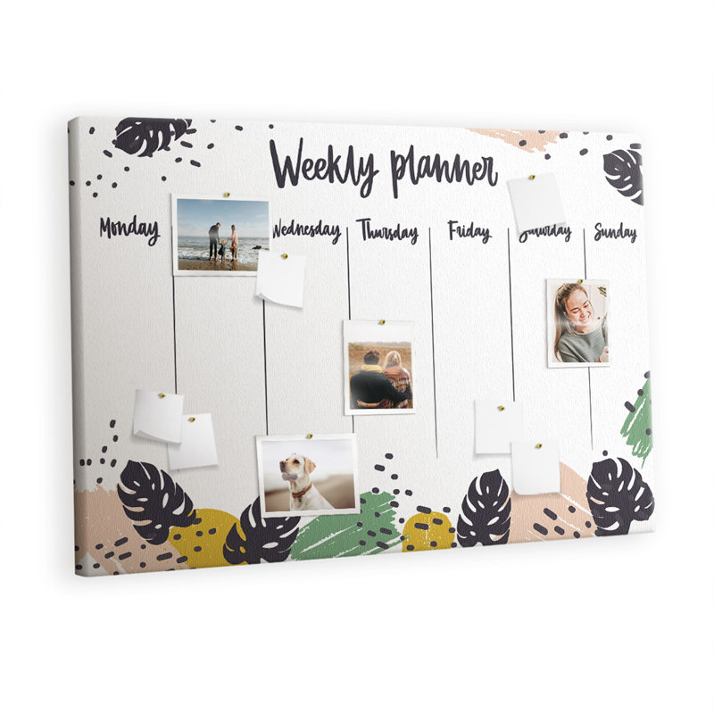 Nanafalia Cork Corkboard / Bulletin Board