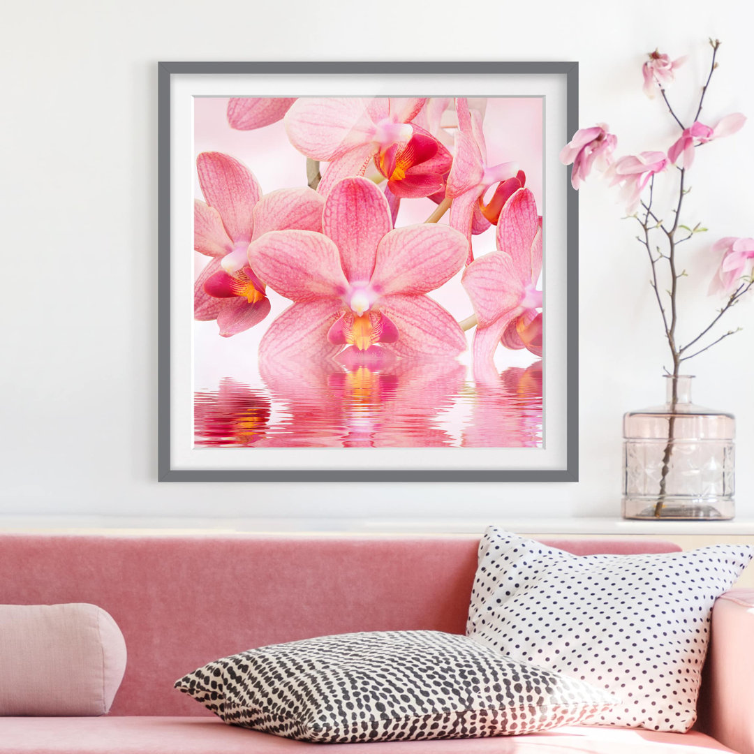 Gerahmtes Papierbild Rosa Orchideen auf Wasser