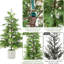 2 arbres topiaires en cèdre artificiel avec pot blanc, plantes artificielles, faux feuillage persistant résistant aux rayons UV, arbre de Noël artificiel-347985721