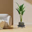 Support pour plante Priyaa-1292317599