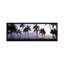 Palmiers sur la plage, waikiki, oahu, hawaï-reproduction sur toile tendue-19965208-73652097