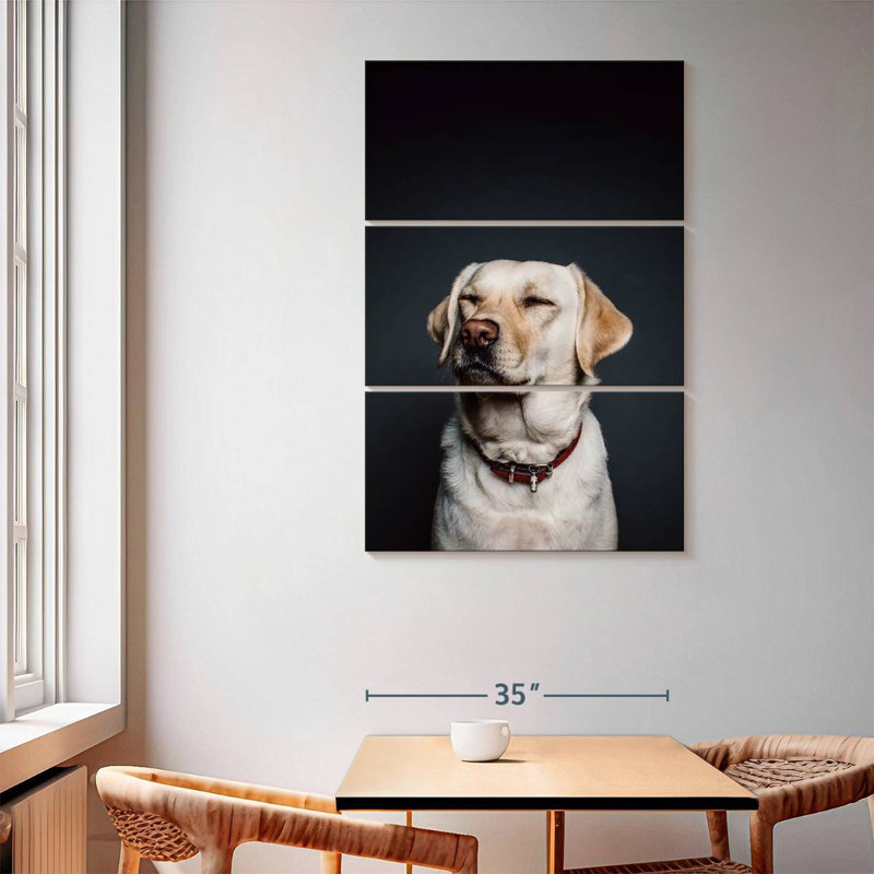 Brampt loufoque le Labrador, H 65 po x l 42 po