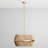 Wendy 6 - Light Chandelier