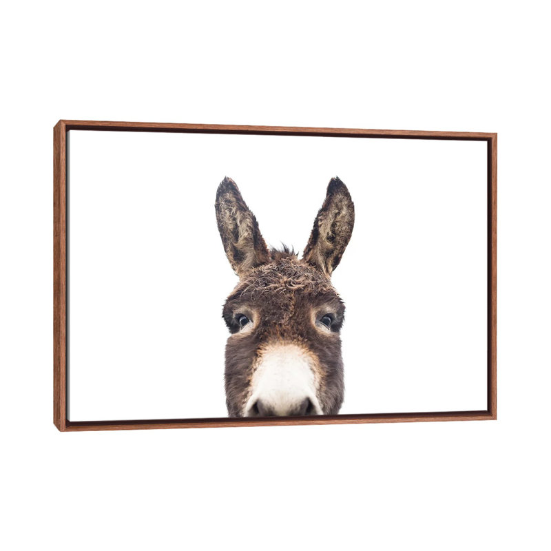 «Peeking Donkey» par Sissi & Seb - reproduction de photo, 18" H x 26" W x1.5" D, Classic Wood Frame, Pas de tapis