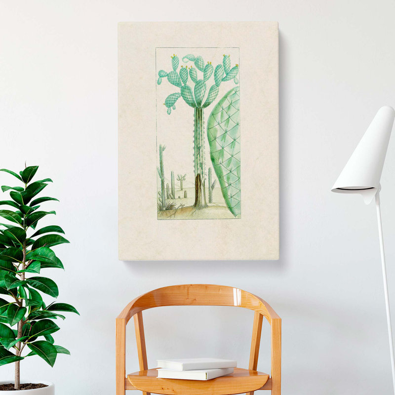 Cactus Illustration - Wrapped Canvas, 60cm H x 40cm W x 3cm D