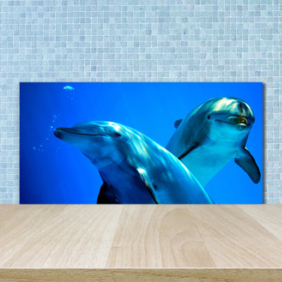 50cm W x 100cm L Glass Peel and Stick Panel