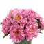 Peony Bouquet-386404308-386404310