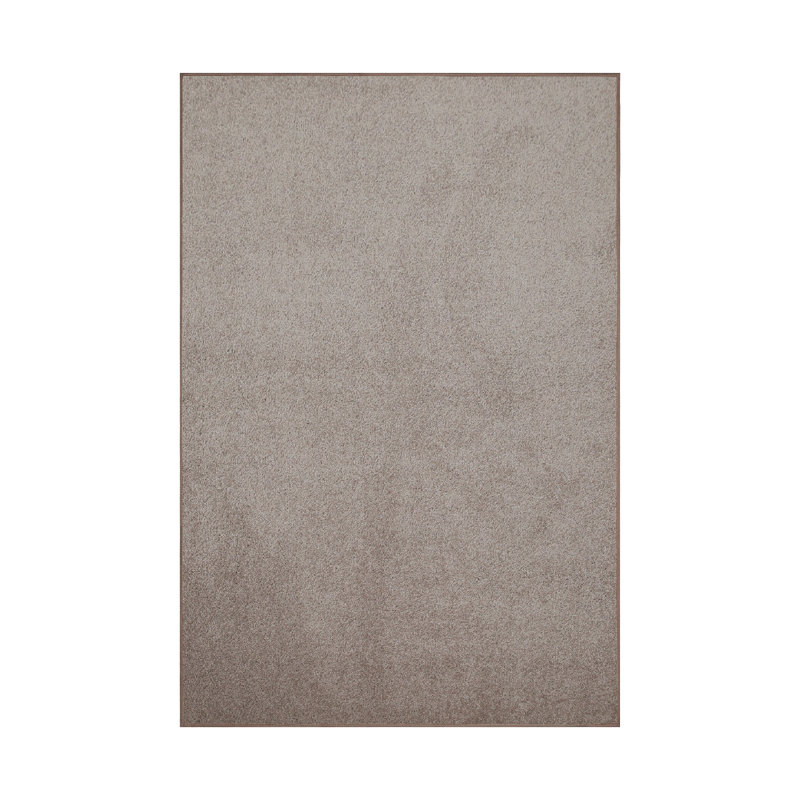 Modern Plush Pet and Kids Friendly Solid Color Area Rugs, Stain & Fade Resistance, Bedroom, Playroom and Kidsroom, Event, Wedding, Perfect for Living Room, Dining Room, Beige Rug