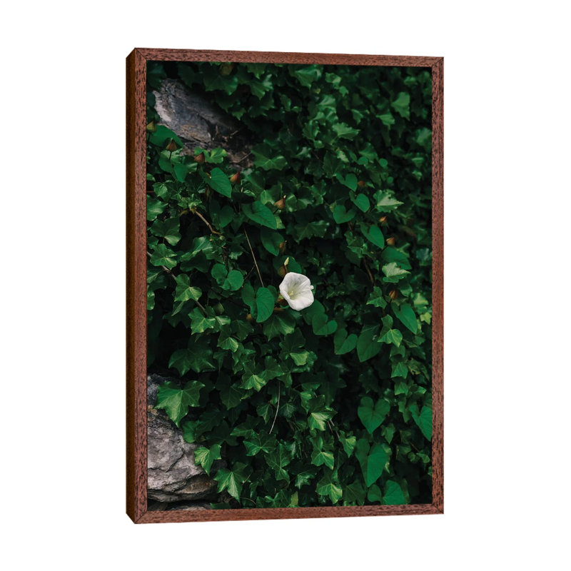 Amalfi Coast Blooms IV by Bethany Young - Print on Canvas, Classic Brown Wood Framed, 101.6cm H x 66.04cm W x 3.81cm D