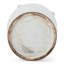 Pot de lion blanc