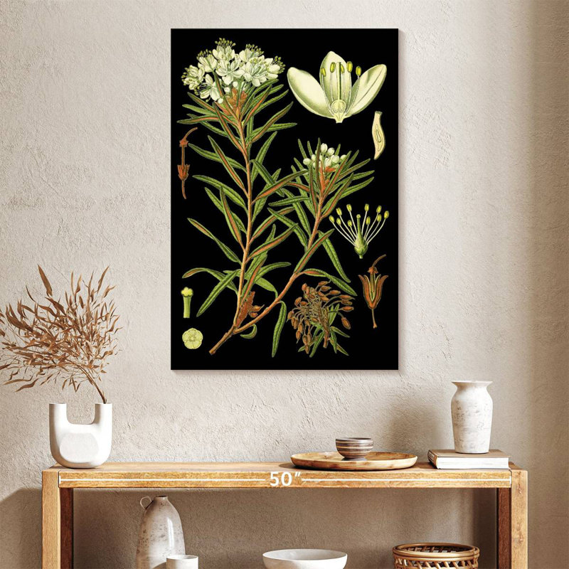 Harnek Marsh Labrador, H 39 po x l 26 po