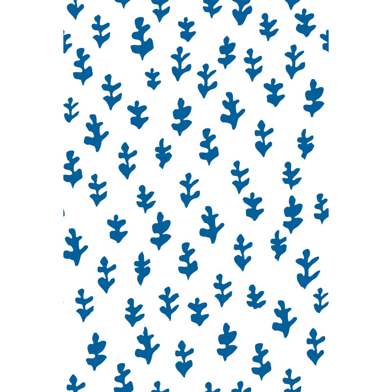 Trufi, Blue/White