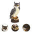 Decorative Object