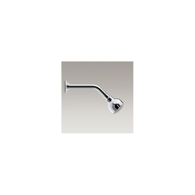 Coralais 2.5 GPM Full/Standard Fixed Shower Head, Polished Chrome, 1.75 GPM 