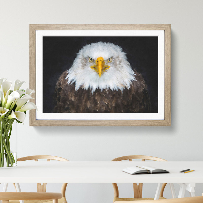 Bald Eagle Bird - Picture Frame Painting Print, Oak, 62cm H x 87cm W x 2cm D