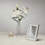 Classic Frame Silver-10489288