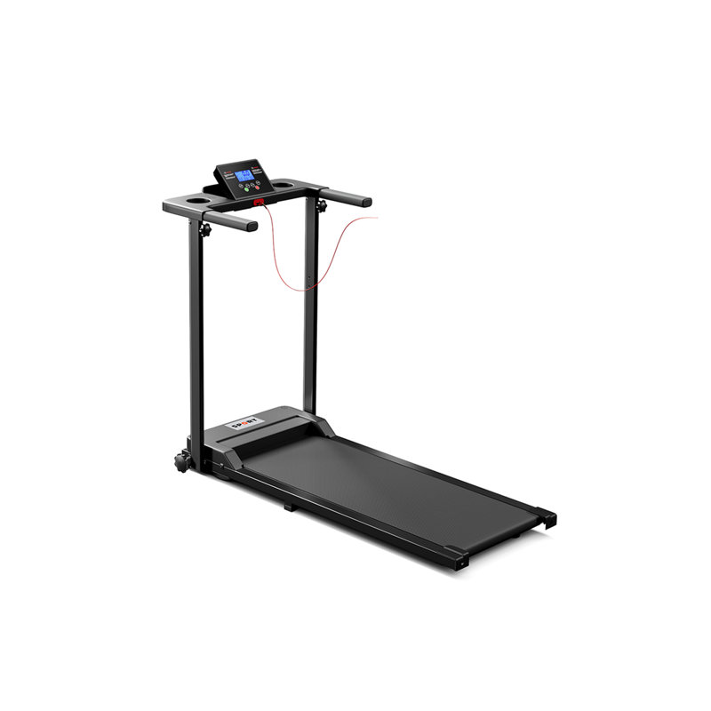 Steel；PP Sports Rack