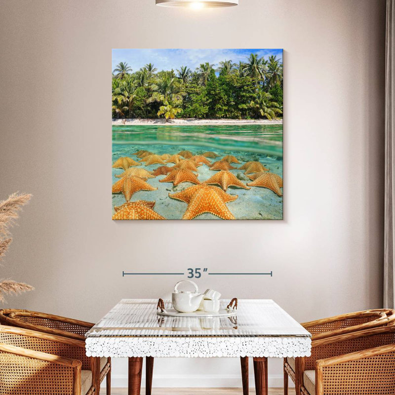 Gillard Starfishes Resting