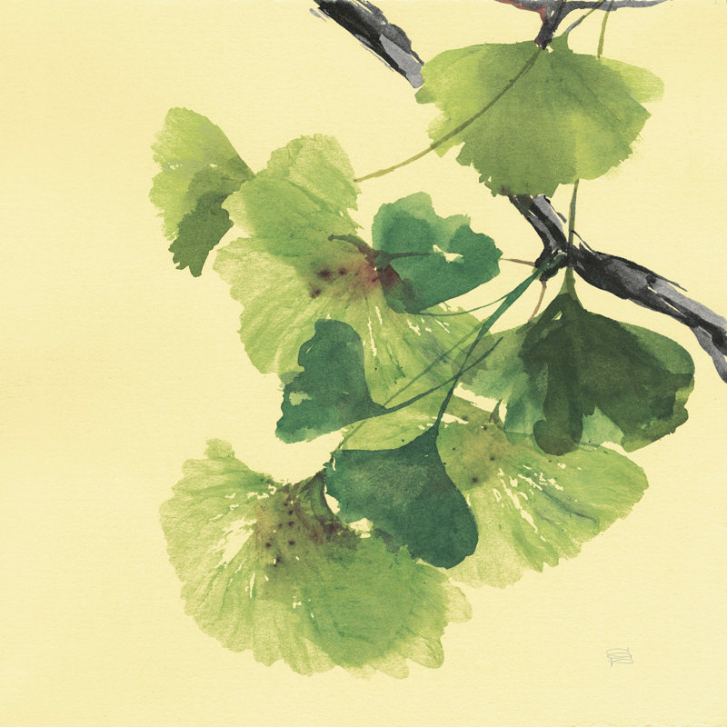 Gingko feuilles II foncé, H 12 po x l 12 po x P 1,25 po