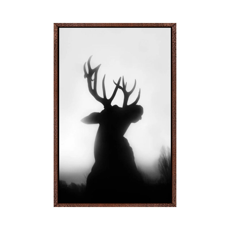 Roar by Dorit Fuhg - Print on Canvas, Classic Brown Wood Framed, 101.6 cm H x 66.04 cm W
