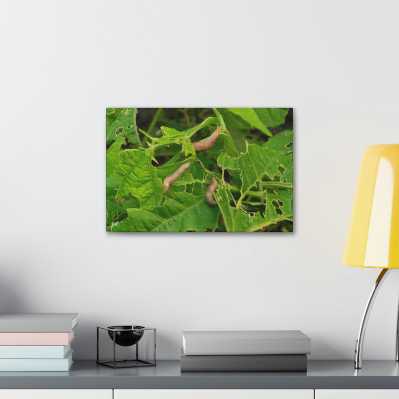 No Frame Print on Canvas