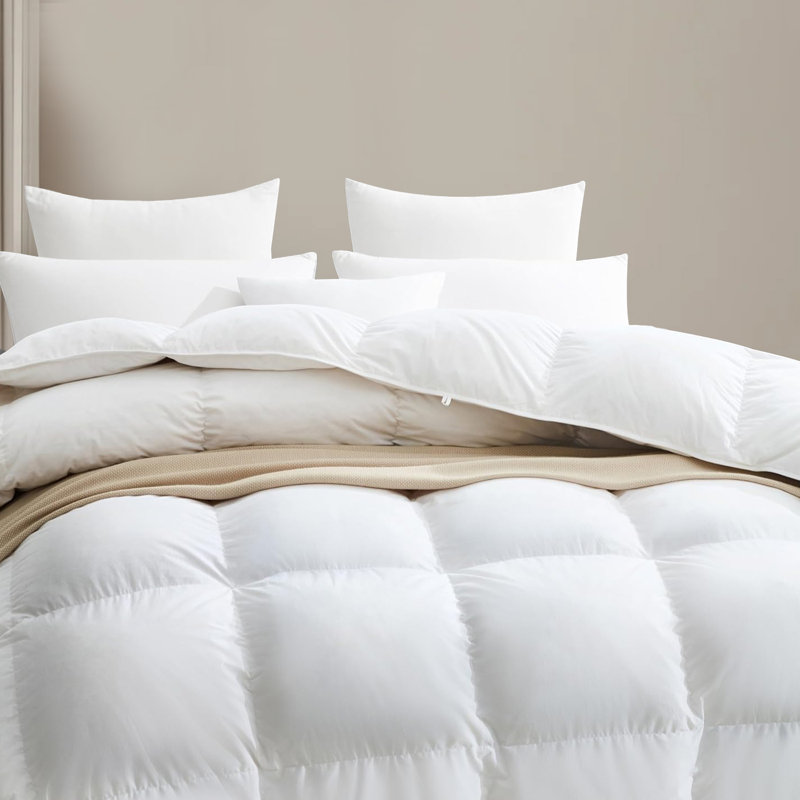  All Season Ultra-Soft Cotton Blend Feather Down Bed Comforter Fluffy Duvet Insert, Queen