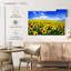 Tournesols d'Alvord sous un ciel bleu-108888493