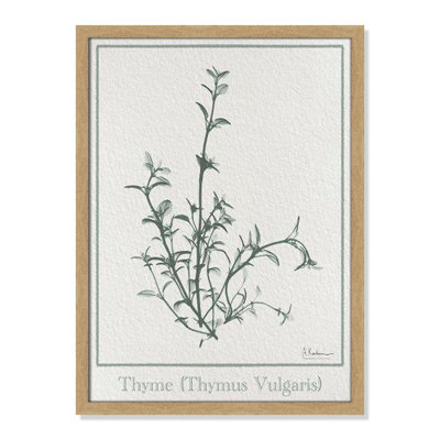 Jeanette "Thymus Vulgaris" Print