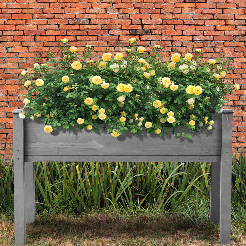 Jardinière surélevée de 122 x 61 x 76 cm (48 x 24 x 30 pouces), en bois massif gris, idéale pour la culture de fleurs et d'herbes aromatiques en extérieur. Charge maximale : 136 kg (300 lb). Revêtement à base d'eau. Jardinière surélevée en bois de 76 cm (30 pouces).