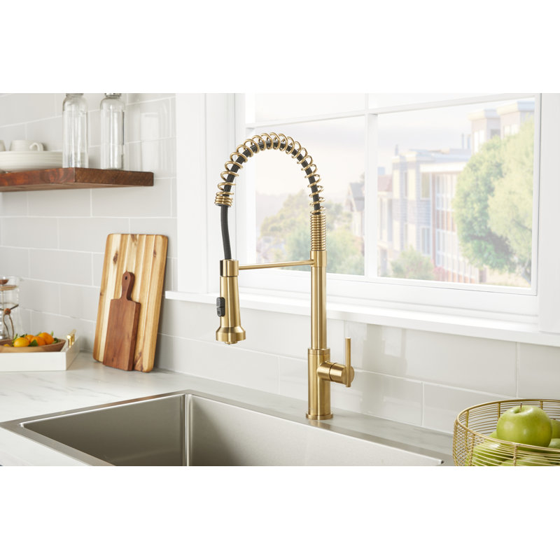 Parma Pre-Rinse Single Handle Spring Pull-Down Kitchen Faucet, Brushed Bronze