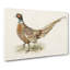 Ring-necked Pheasant by Von Wright - Wrapped Canvas-55323230