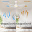 Aoise 45'' Ceiling Fan with LED Lights