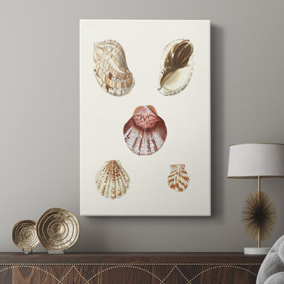 Coquillages pastel en coquille Knorr