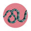 Sous-verres ronds en cuir Serpent-119015239