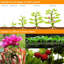 Ivy Bronx Grow Light