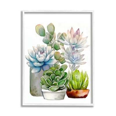 " Mixed Potted Succulent Garden " by Ziwei Li