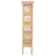 Chippendale Bookcase-87325857